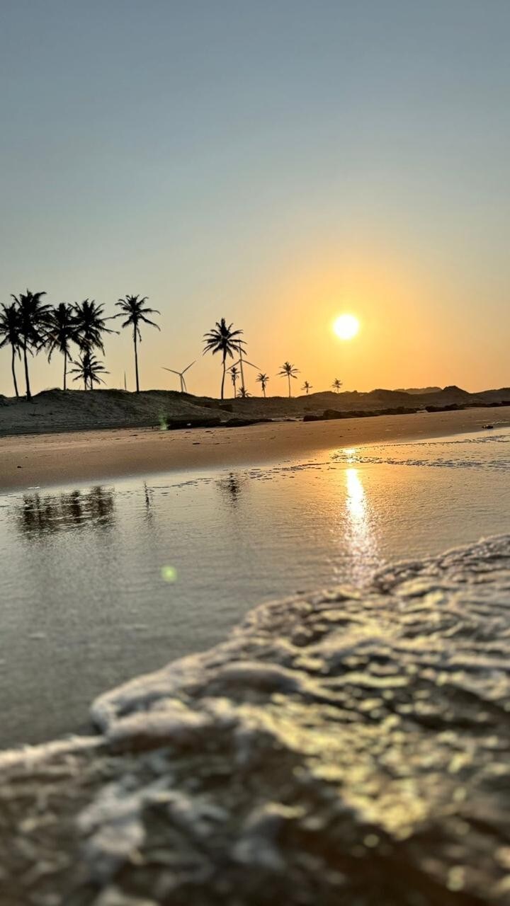 The image depicts a serene beach scene at sunset, featuring the sun dipping below the horizon. Gentle waves reflect the warm hues of the sky, and silhouettes of palm trees can be seen in the background, completing the tranquil coastal landscape.