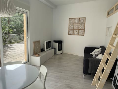 Apartment in Candanchu