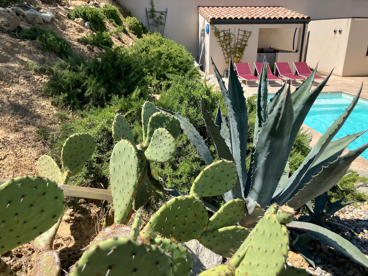A variety of cacti and desert plants surround a clear swimming pool, featuring a relaxing deck with loungers nearby. The landscape includes lush greenery contrasting with the pale stone of the house in the background, promoting a serene outdoor space.