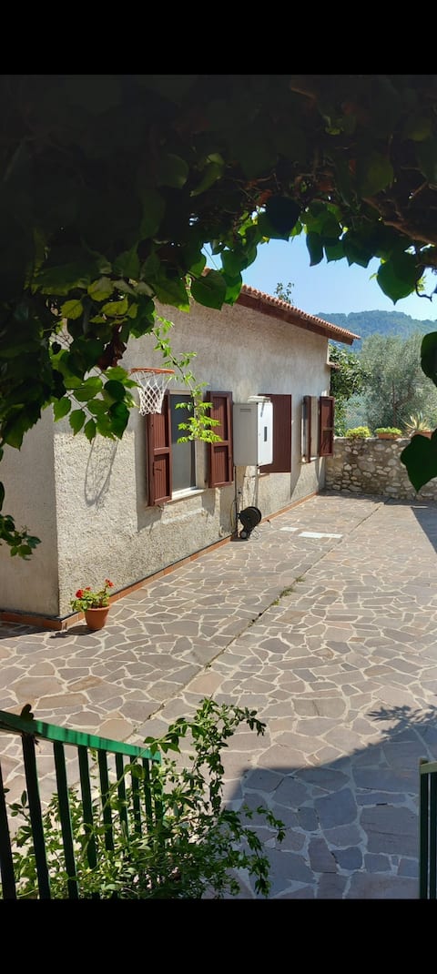 From Cosimo and Franca