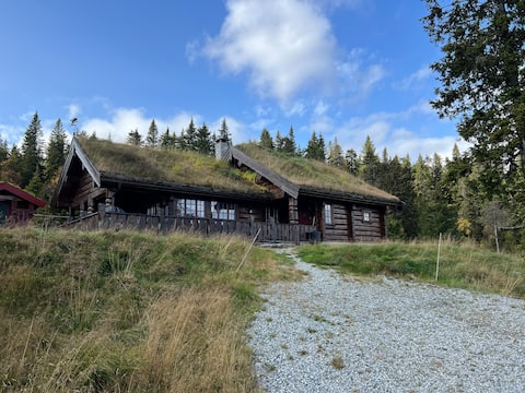 Distinctive, spacious log cabin