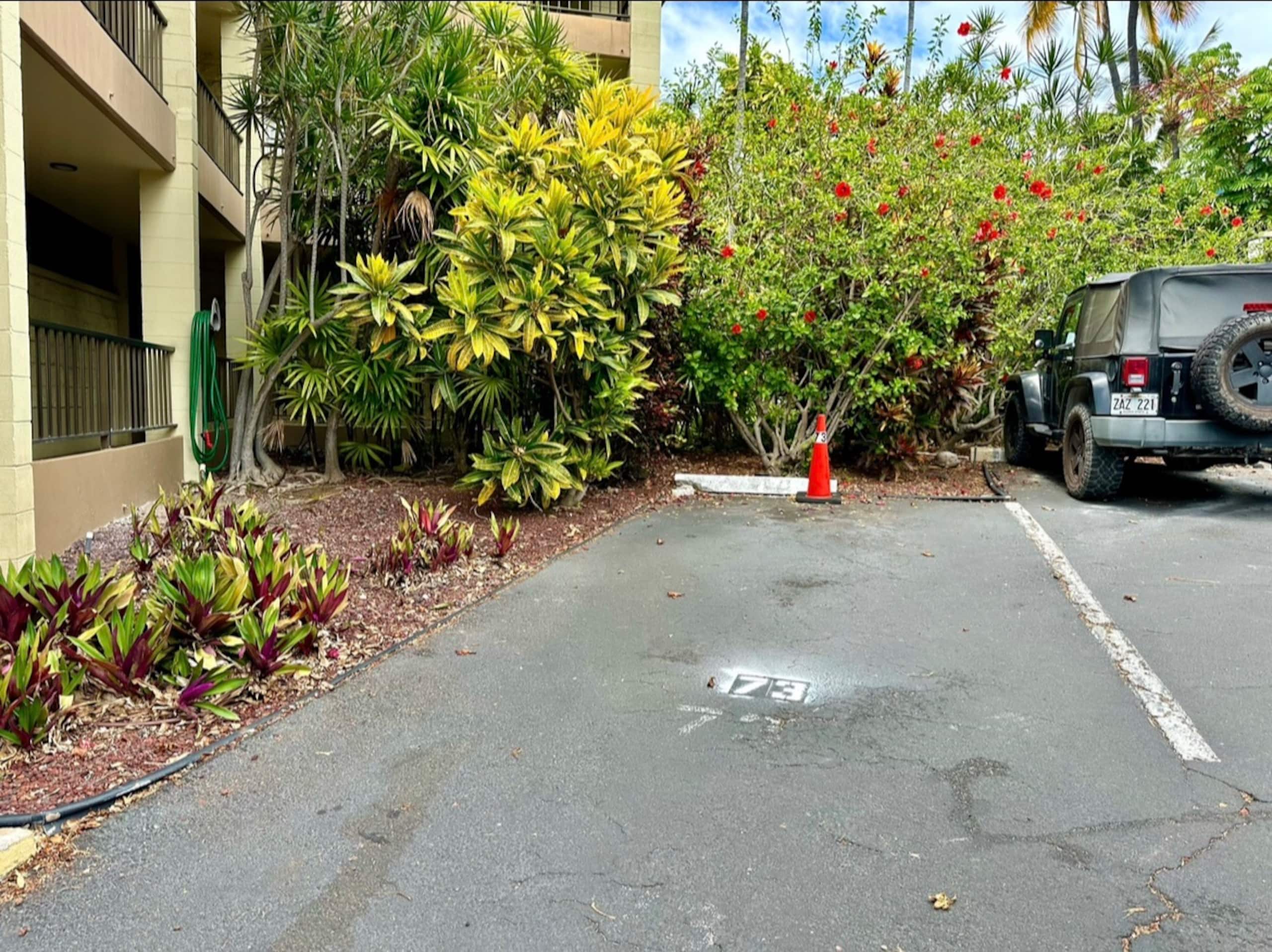 Private, 5 minutes to downtown & beach - Photo 37