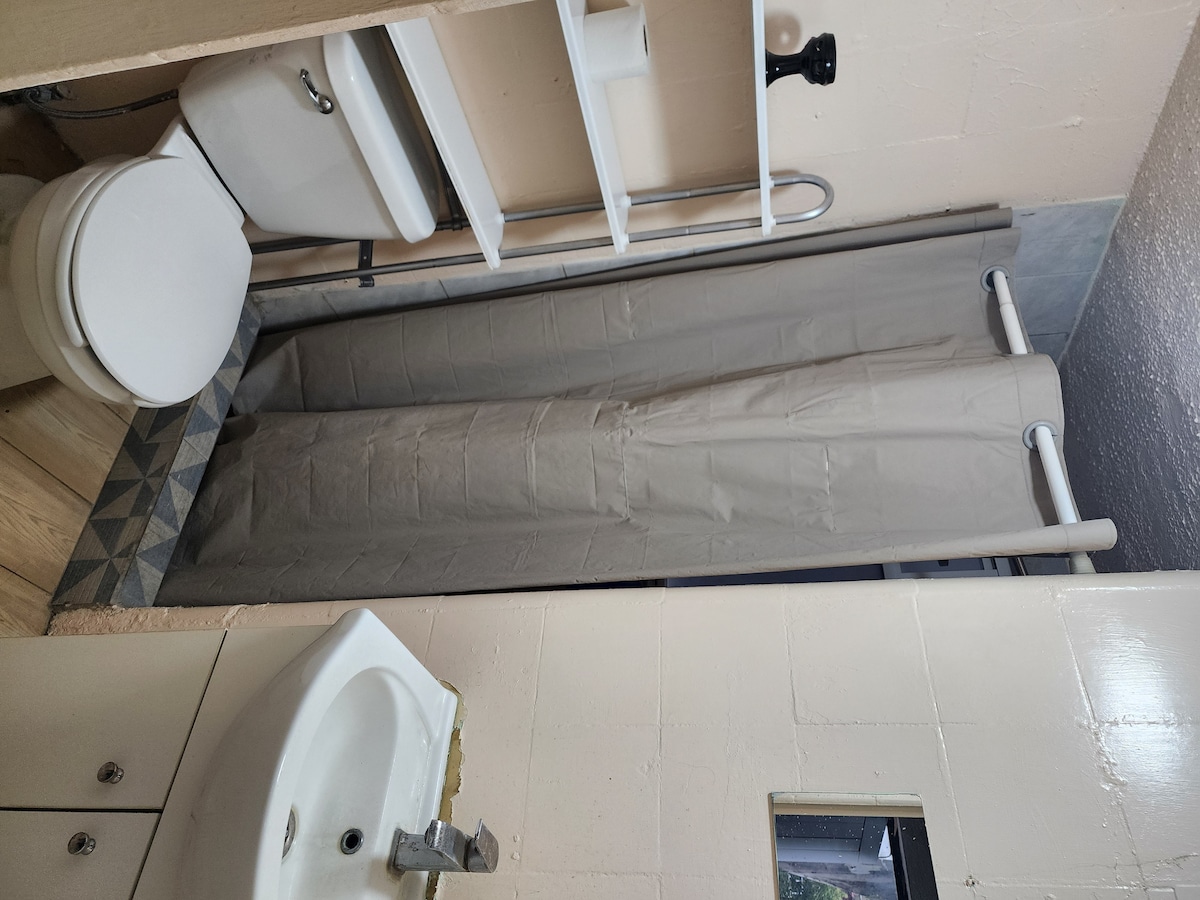A functional bathroom is equipped with a white toilet and a sink with a modern faucet. A shower area is enclosed by a beige curtain, while shelves are mounted on the wall for storage. The flooring features decorative tiles.