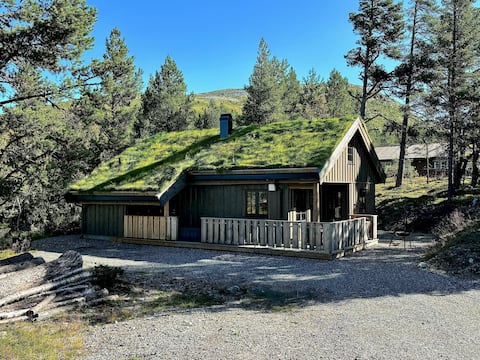 New cabin on Lake Lemon that sleep 8 persons