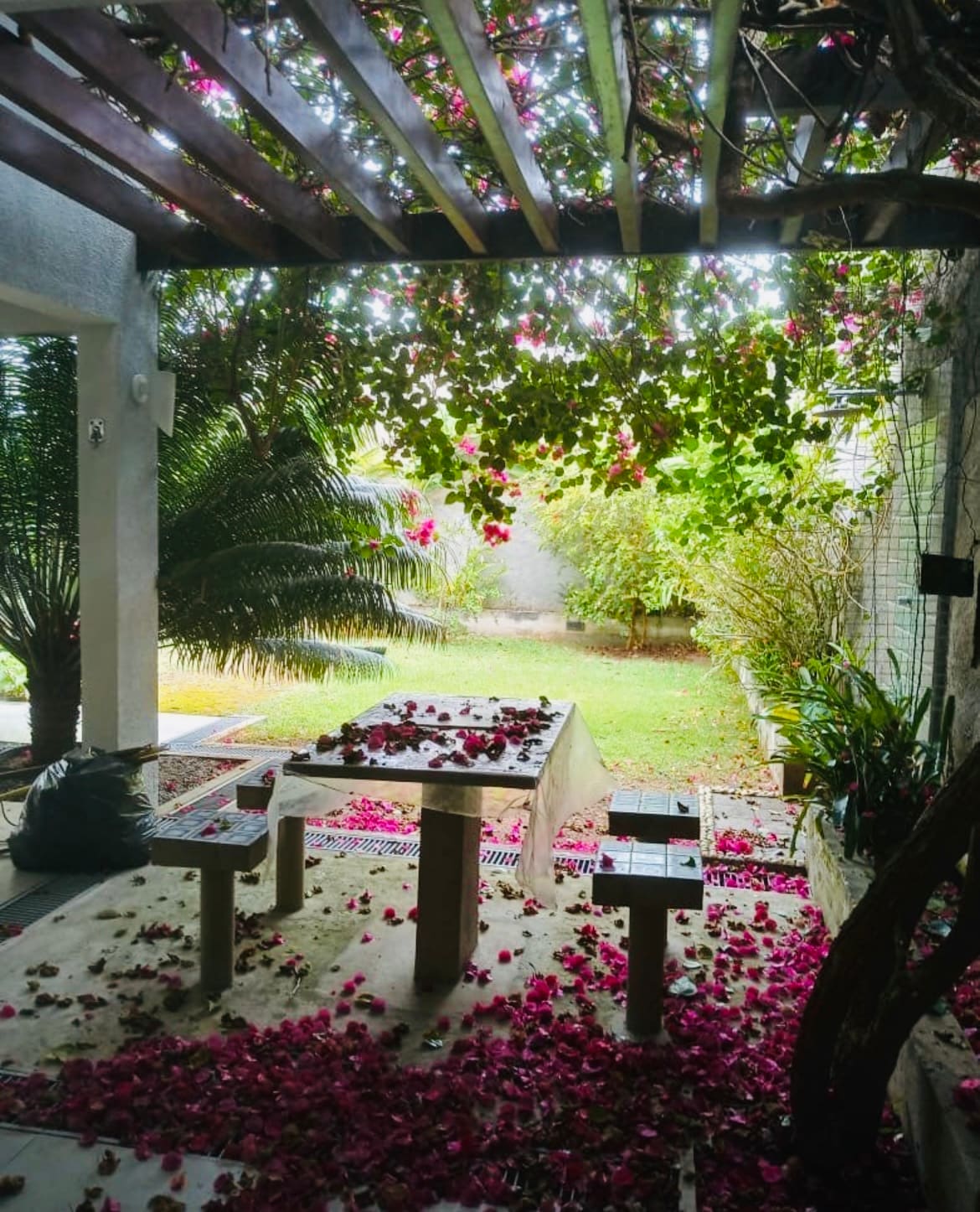 A shaded outdoor area is showcased with a table surrounded by benches, adorned with fallen pink flower petals. Lush greenery is visible in the background, complemented by trees and plants creating a serene and natural environment.
