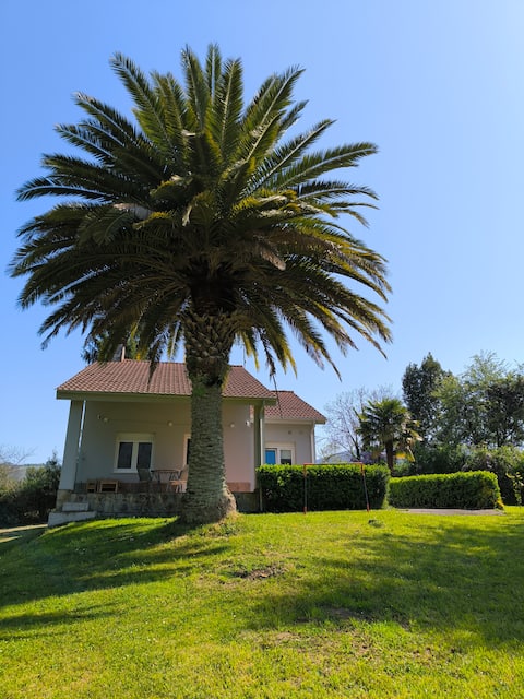 Nice house with a farm and grill