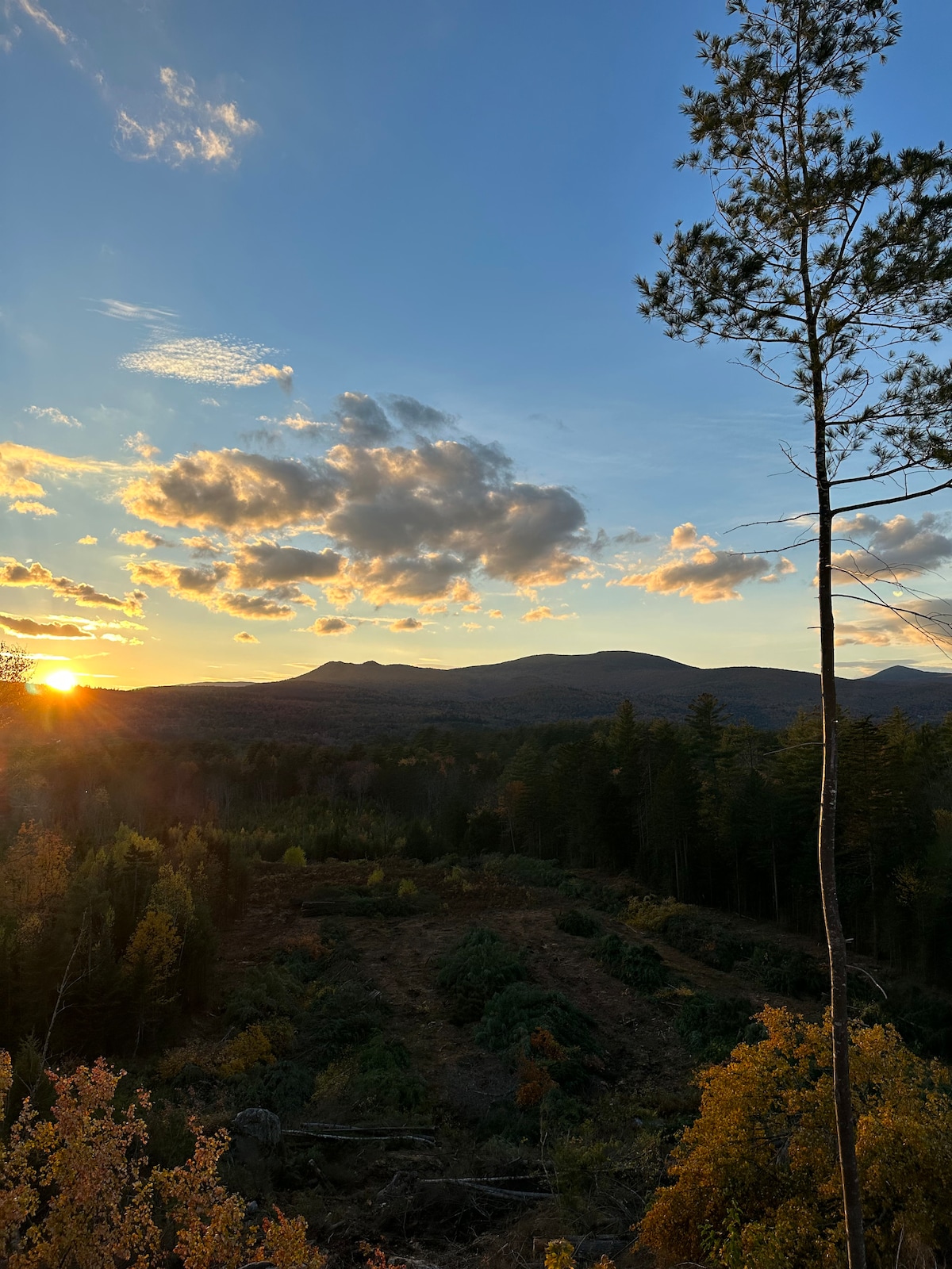 A scenic view of the mountains is presented, with the sun setting on the horizon. Soft clouds float in the sky, reflecting warm hues. Sturdy trees frame the view, while golden foliage hints at the onset of fall. The landscape captures a sense of tranquility.