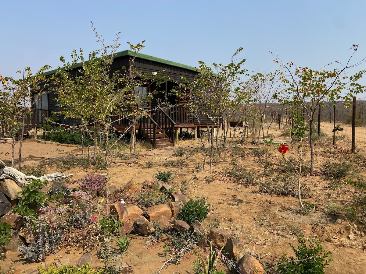 A wooden cabin is framed by scattered greenery, including small shrubs and a vibrant flower in the foreground. The cabin features a welcoming entrance with steps leading to a deck, surrounded by open space and natural flora.