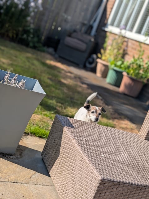 Cottage on the Park Allensford - dog friendly