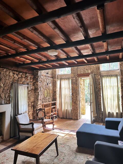 Charming 2BR Mountain Cabin