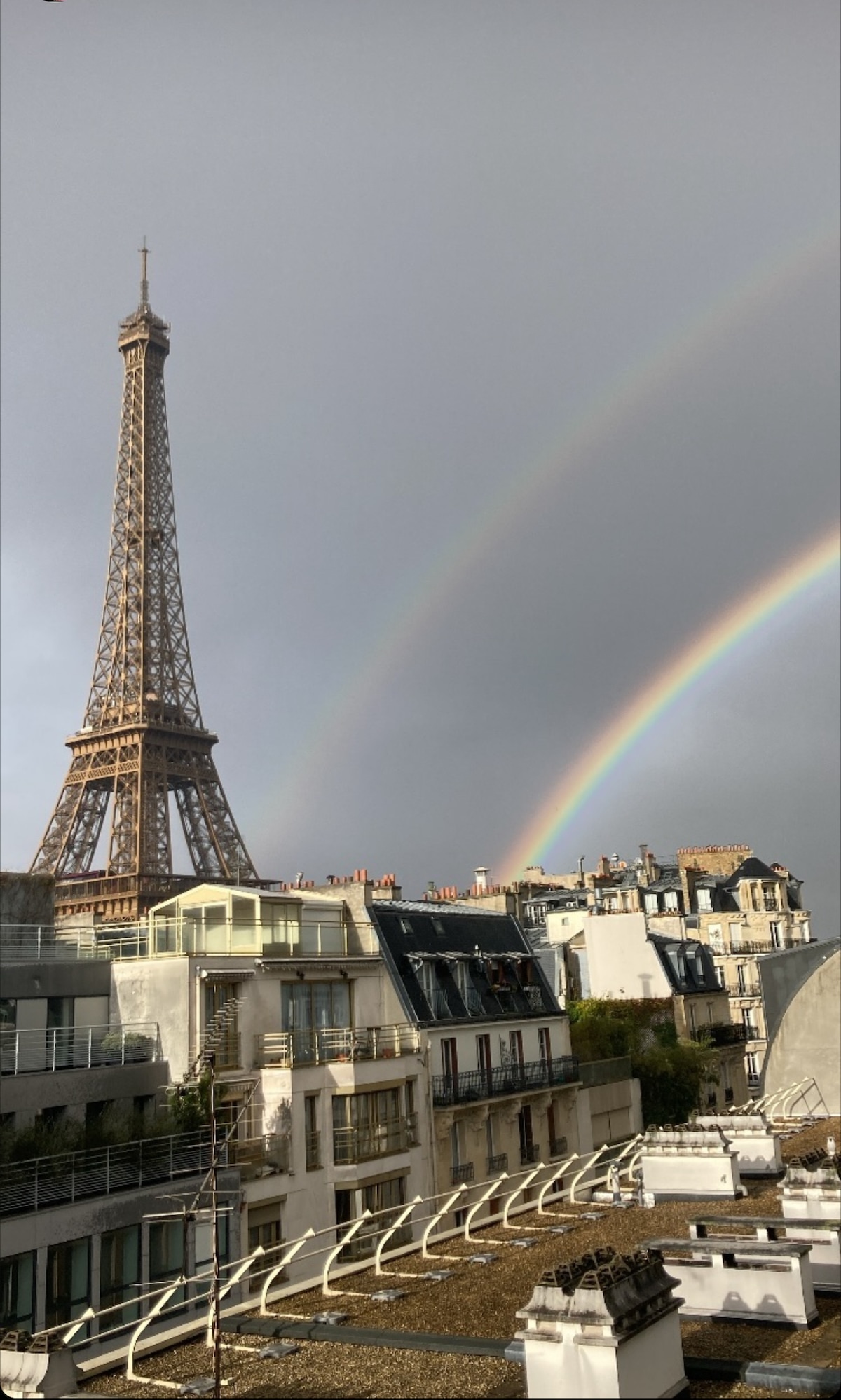image de l'annonce