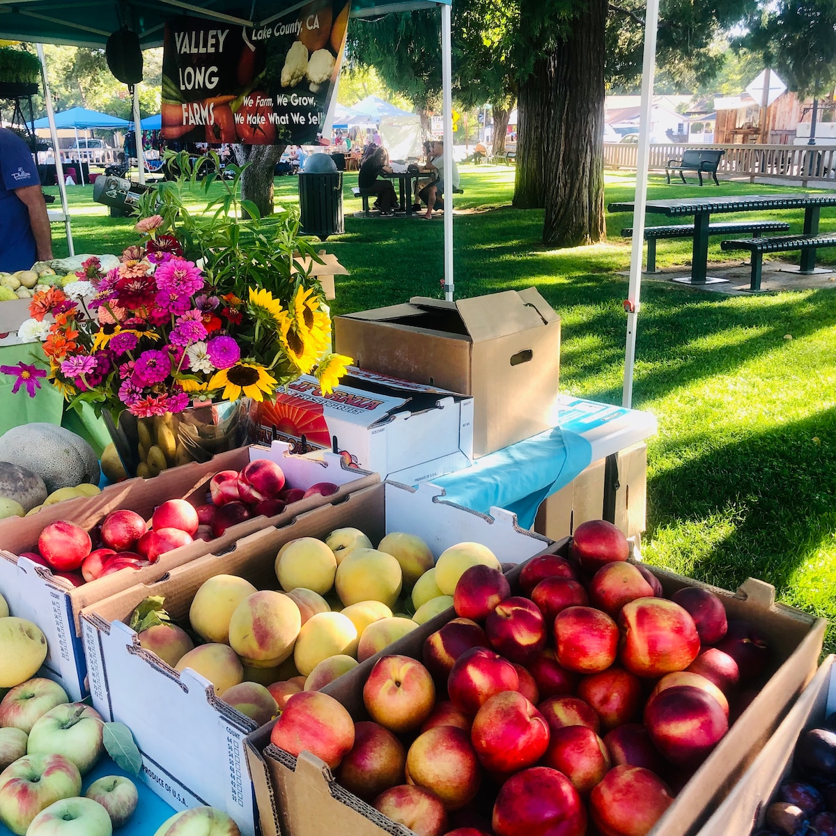 Weekly all organic farmer's market in downtown Middletown Friday, and Hidden Valley on Sunday. Other farm stands and markets in Kelseyville. Local stone fruit, honey, grapes, olive