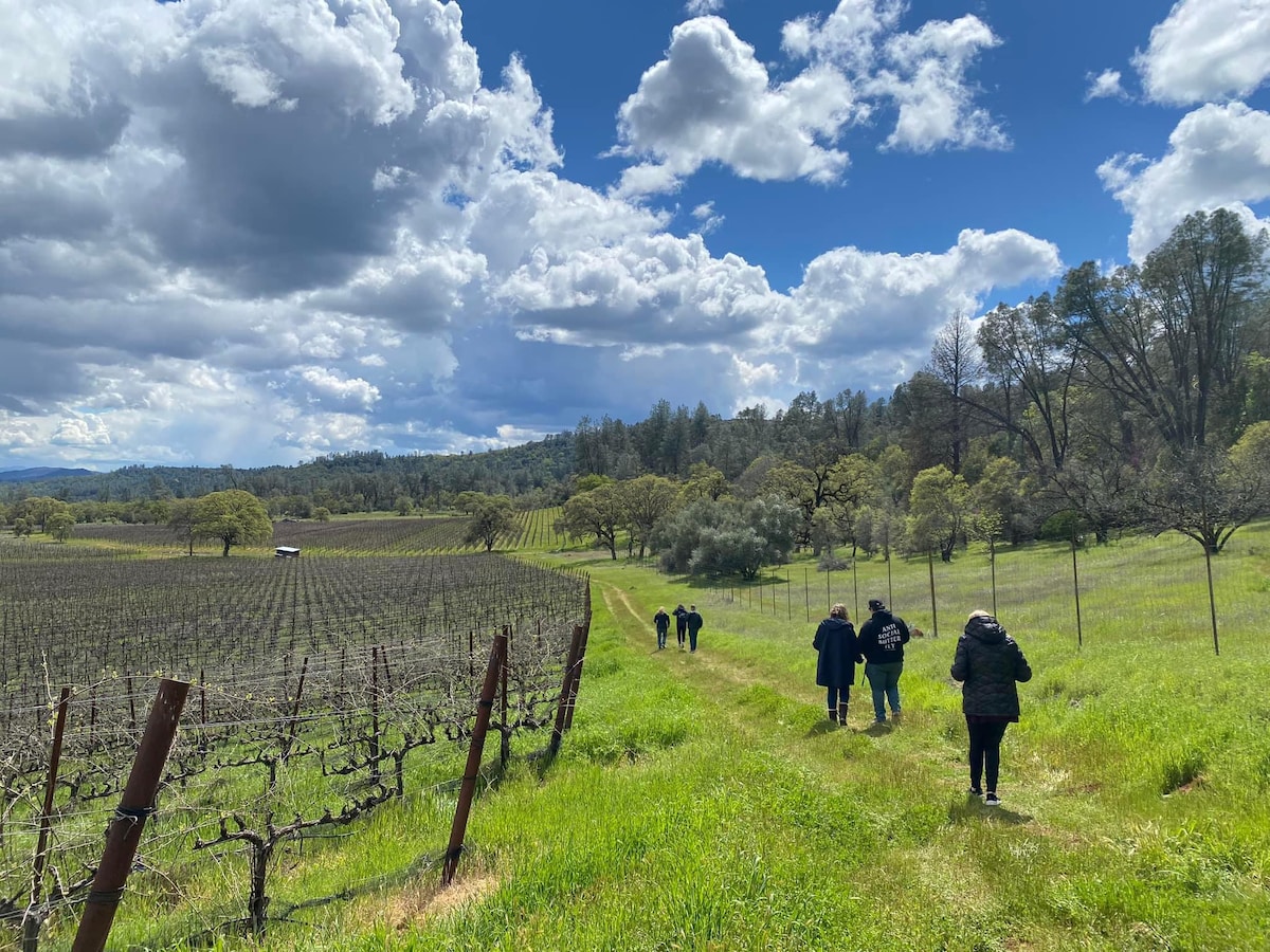 Beautiful view Dog Friendly Hiking at the Wild Diamond vineyard in March. You will find it scattered with Lake County diamonds!!! at Bohemian Belle Yurt in Hidden Valley Lake