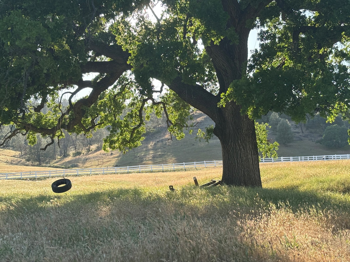 One of the beautiful pastoral views in this beautiful rural wine country. at Bohemian Belle Yurt in Hidden Valley Lake