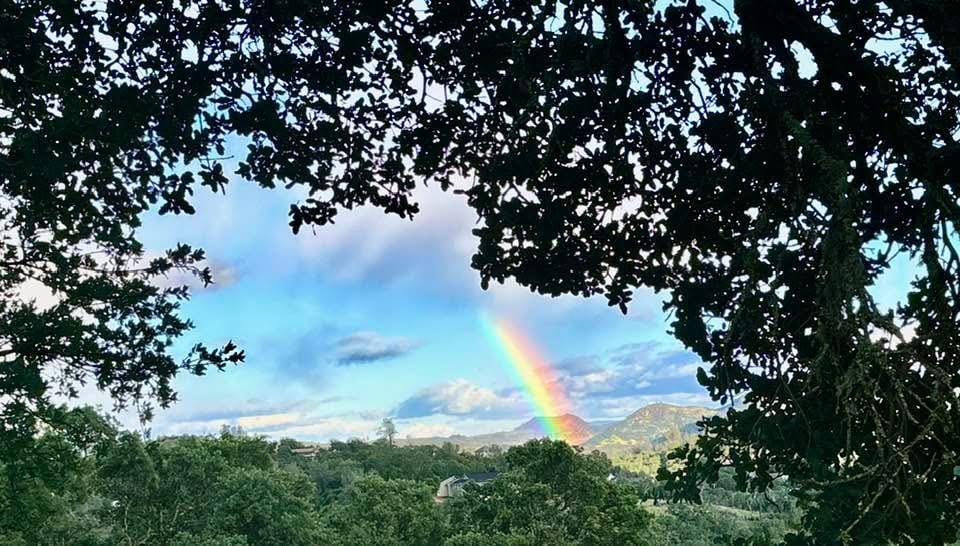 A rainbow over your campsite in Spring. at Bohemian Belle Yurt in Hidden Valley Lake