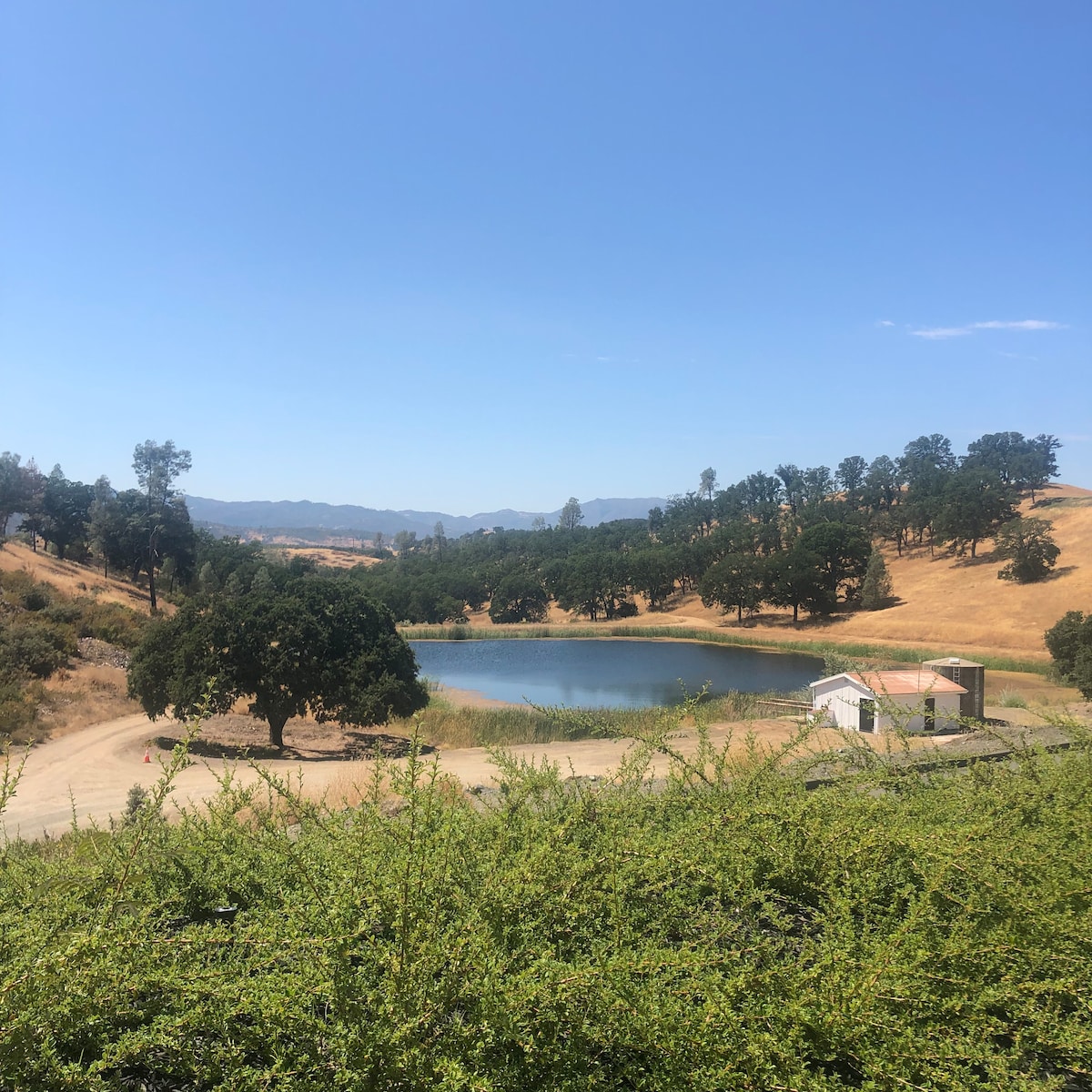 Visit beautiful lakes near Langtry Estate Vineyard (5 miles) in Lake County's exclusive Guenoc Valley wine region for live music events, tastings and a picnic. at Bohemian Belle Yu