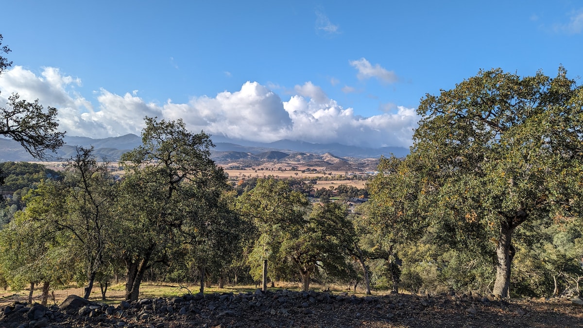 Our lower acre and view in Spring. at Bohemian Belle Yurt in Hidden Valley Lake