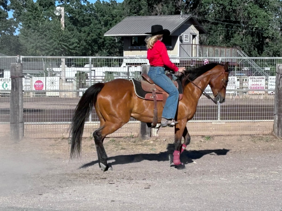 Equestrians will love Middletown Days, rodeo and horseback riding in the region. at Bohemian Belle Yurt in Hidden Valley Lake