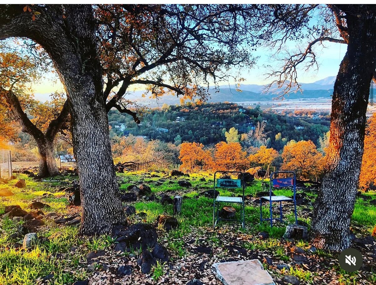 Our lower acre and the view in Fall… we get a real Autumn here with crisp weather, and the Fall rain will bring moss and green grass. at Bohemian Belle Yurt in Hidden Valley Lake