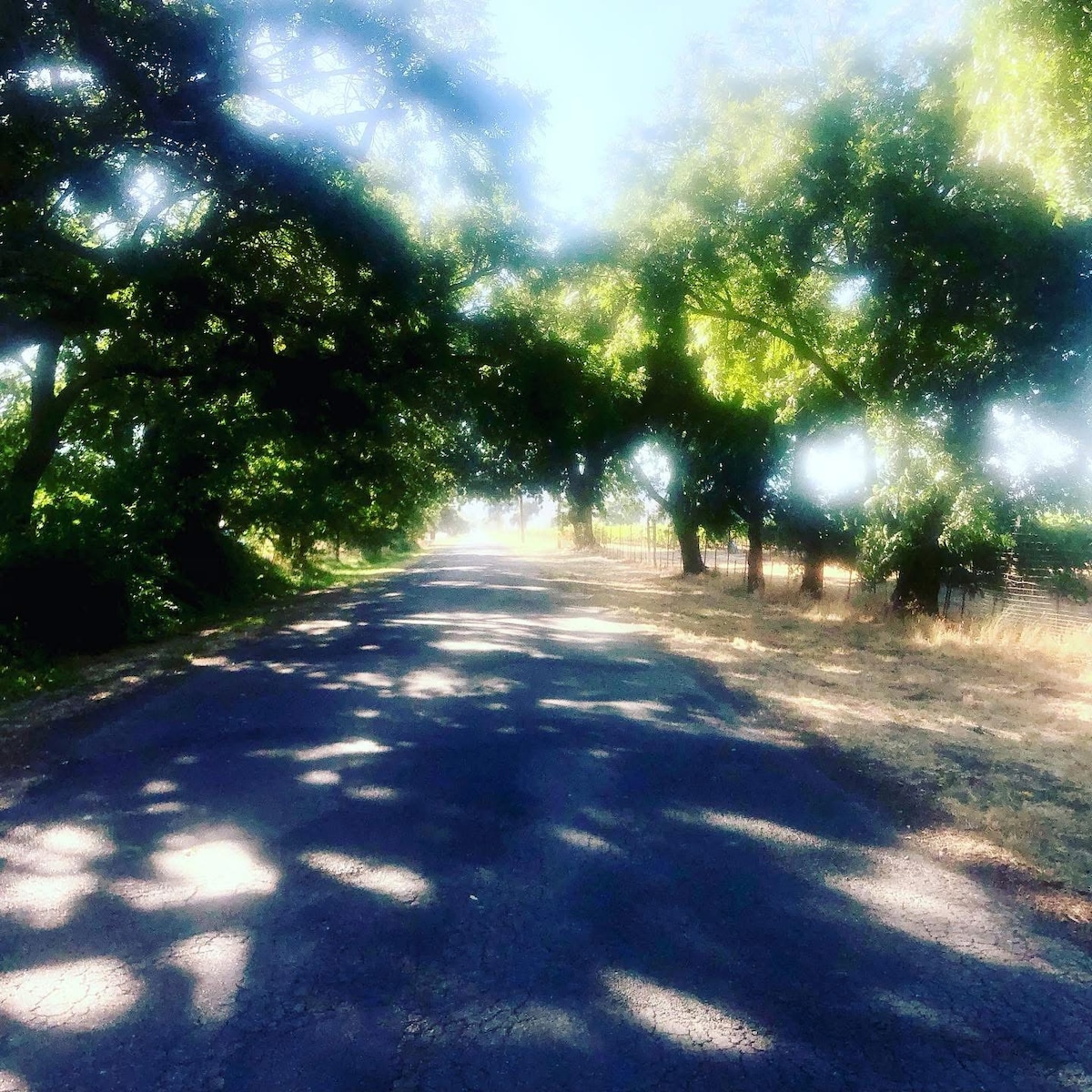 A nearby road in the secret wine country. at Bohemian Belle Yurt in Hidden Valley Lake