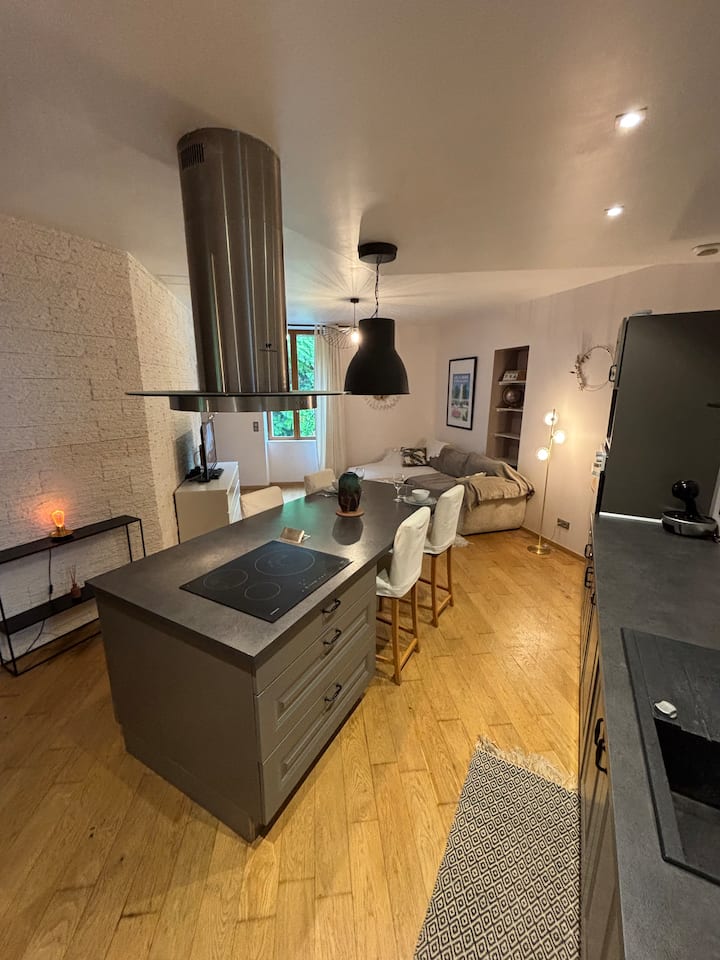 Appartement Cosy à Deux Pas Des Thermes - Lac du Bourget