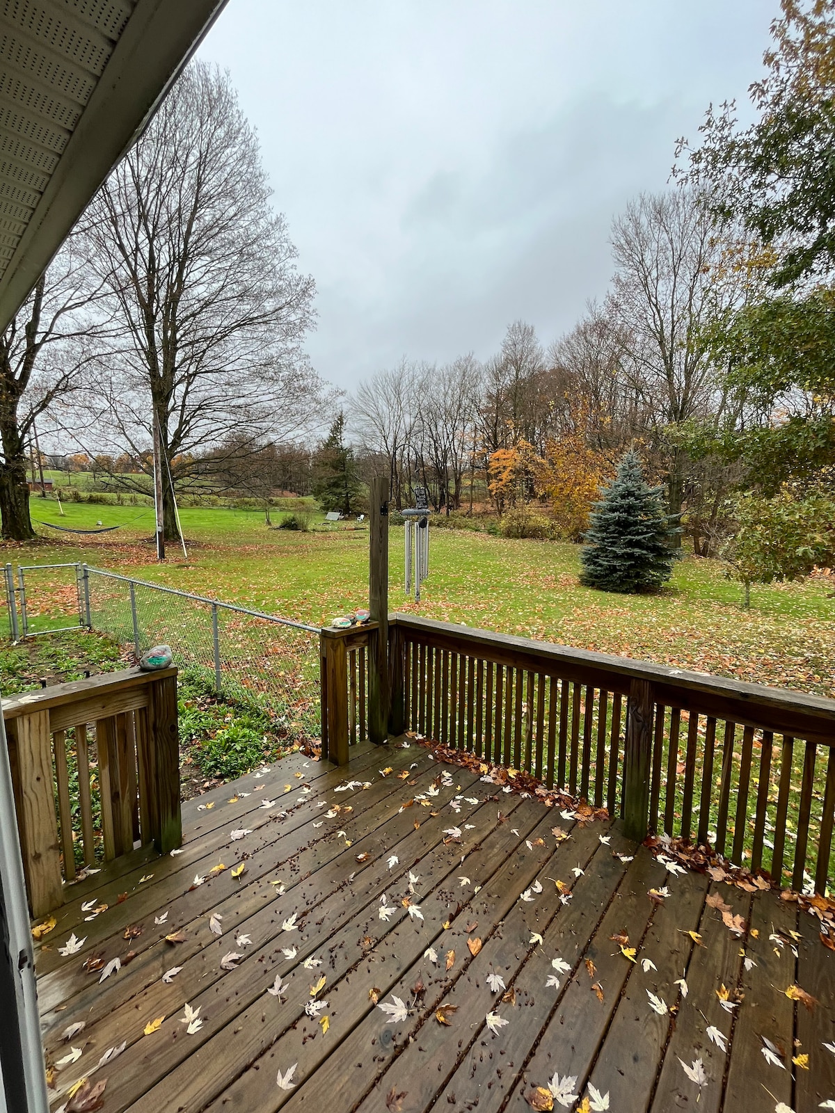A wooden deck with scattered leaves overlooks a spacious yard, surrounded by trees showing autumn colors. A fence delineates the area, and a hint of a creek can be seen in the distance. The cloudy sky adds a serene, gentle ambiance.