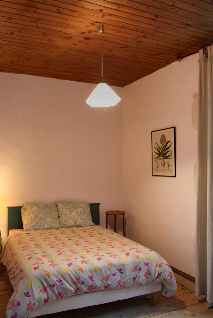 Le Couvent : Séquoia - Fontenay-le-Comte
