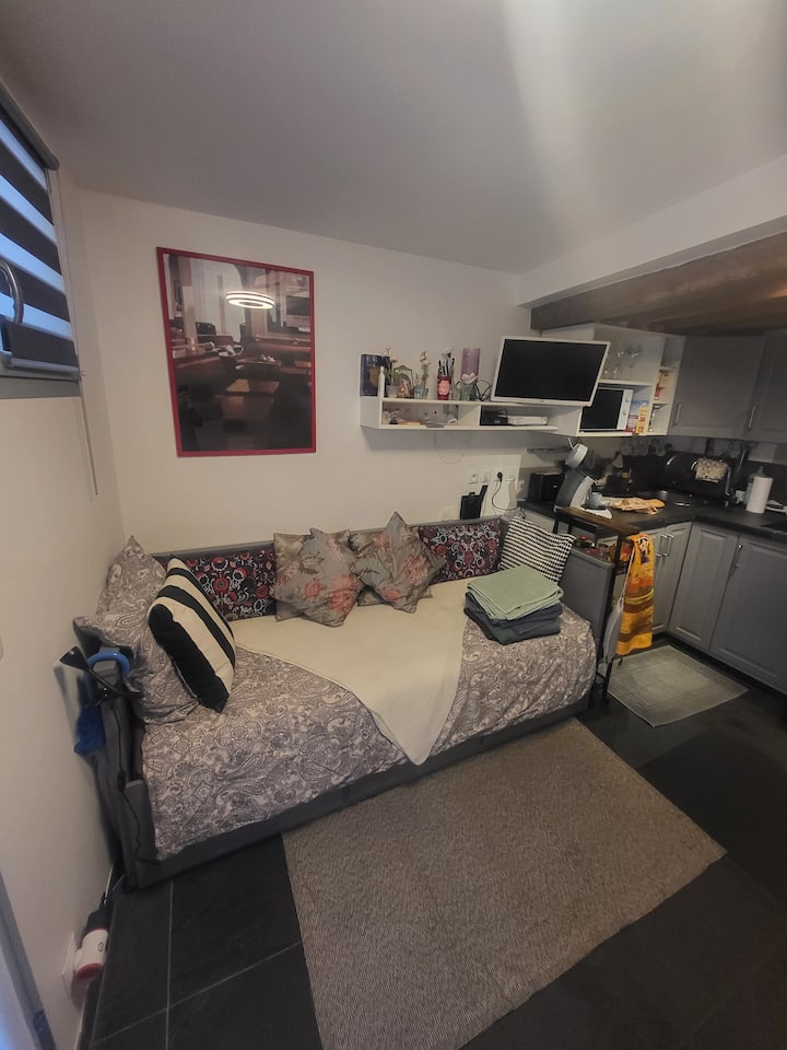 סלון