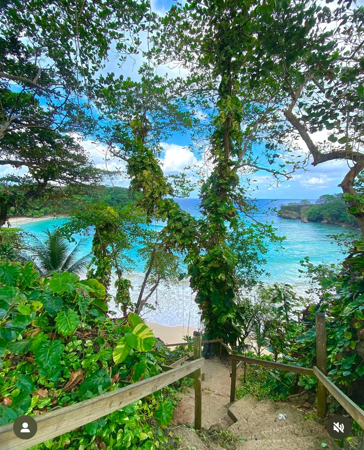 A staircase descends through lush greenery to reveal a vibrant beach scene. Clear blue waters meet a sandy shore, framed by tropical foliage and mature trees. The sky is bright with scattered clouds, creating a serene ambiance in this natural setting.