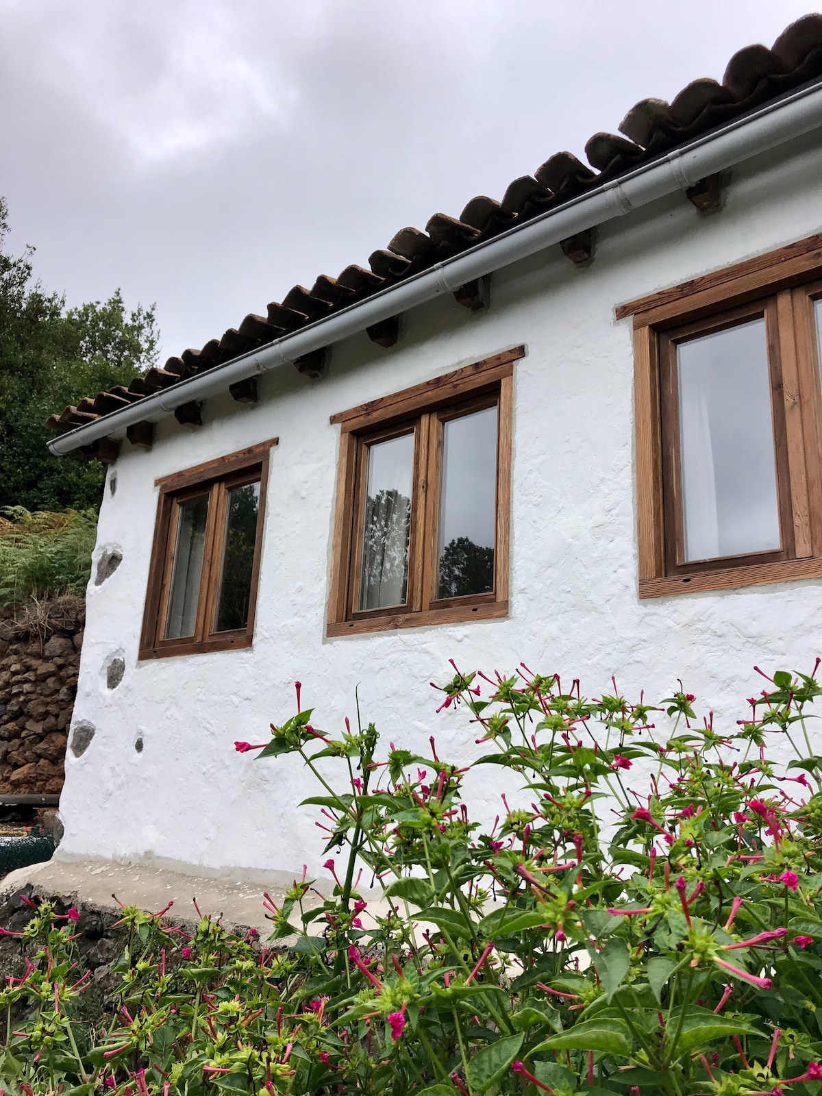 A charming exterior view of the guesthouse is presented, featuring whitewashed walls and wooden window frames. The building is partially surrounded by lush greenery and vibrant pink flowers, enhancing the natural setting. A stone wall can be seen in the background.