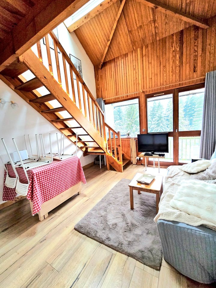Duplex 4/6p Le Familial - Le Lioran