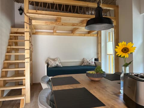 Successful Airbnb property: Vacation rental farm idyll with pool / barrel sauna / playground in Görlitz