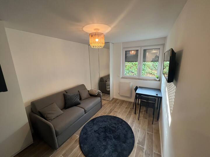 Refurbished studio in the heart of Plessis-Robinson