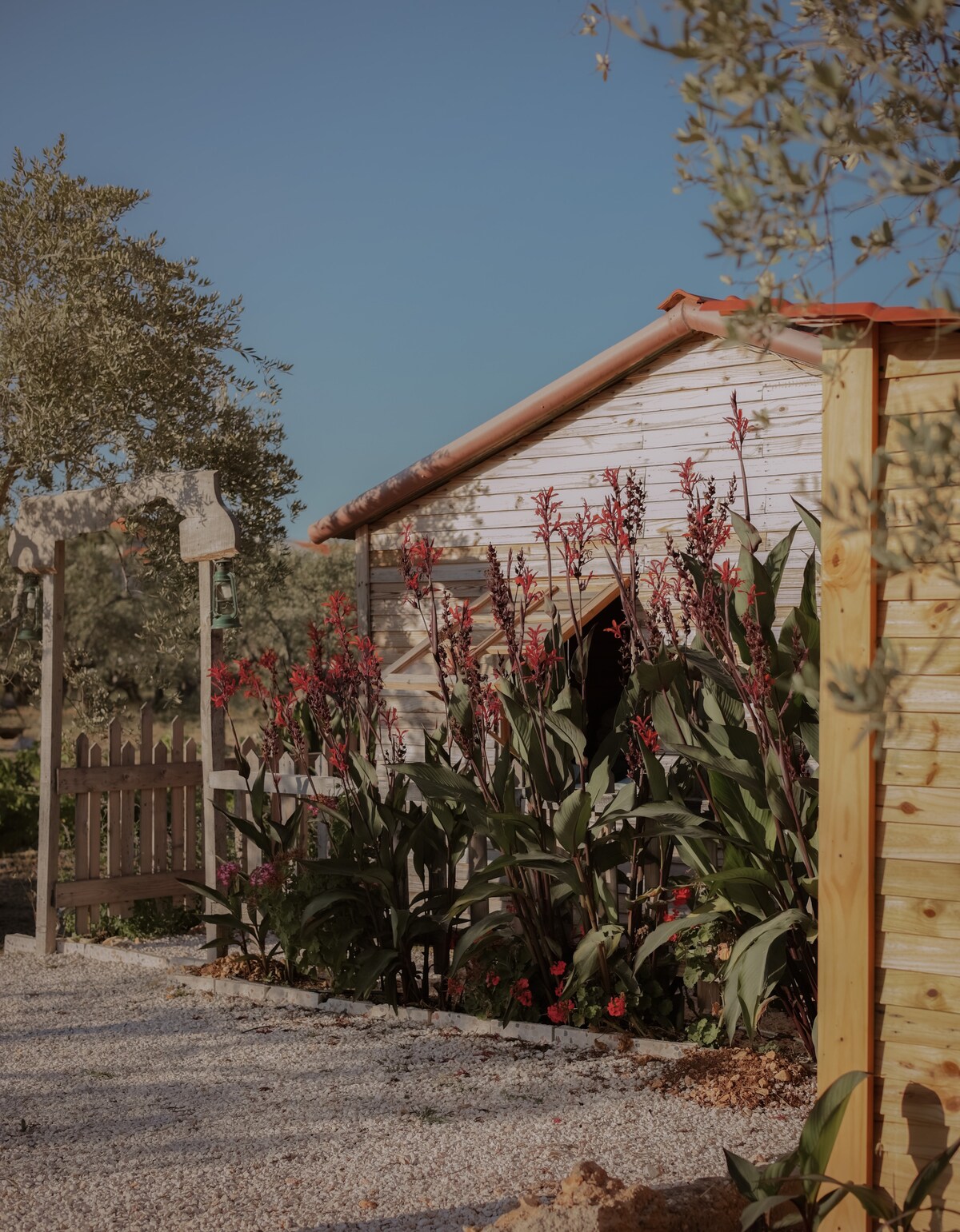 The exterior view of a wood cabin is framed by lush green foliage and vibrant red flowers. A gravel pathway leads to a wooden gate, with olive trees positioned in the background against a clear blue sky.