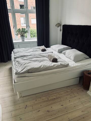 Cozy, Classic & perfect location gallery image 5