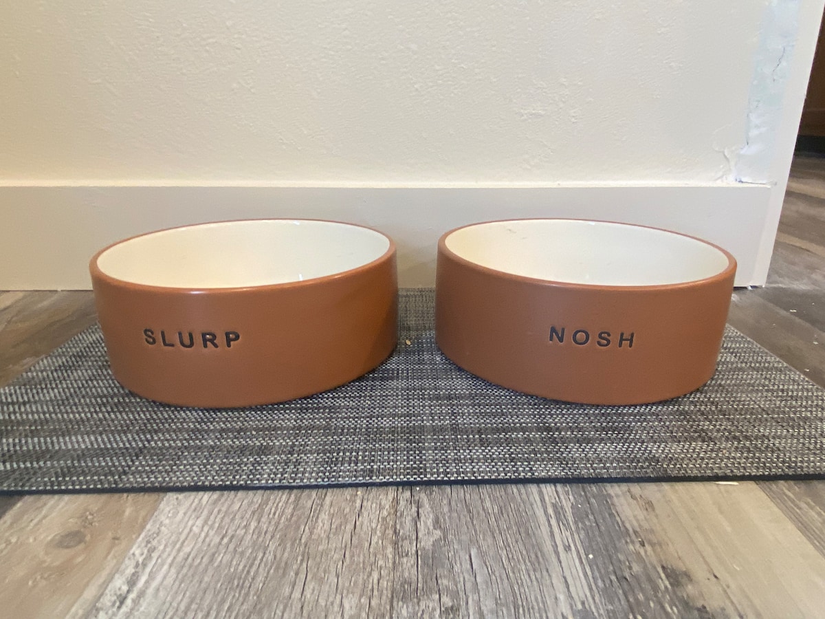 Two ceramic pet bowls are positioned on a textured mat. One bowl is labeled 'SLURP' and the other 'NOSH,' both featuring a simple, modern design. The bowls have a warm terracotta exterior and a smooth, glossy interior.