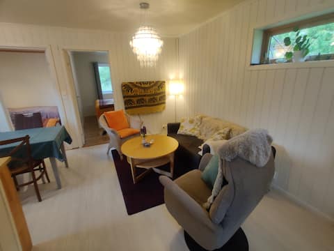 Top performing Airbnb: LundaHaugen in Sogndal