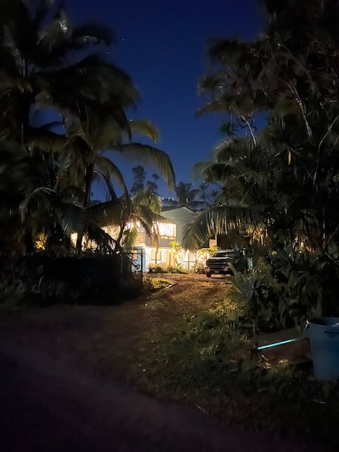 Jungle House w/Game Rooms Sleeps 17 "Whole Home"