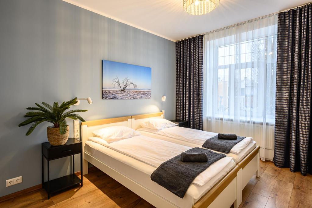 The room features two separate single beds with crisp linens and dark towels laid neatly on top. A large window allows natural light to fill the space, complemented by light blue walls and a tasteful piece of wall art. A plant and a small nightstand complete the setting.