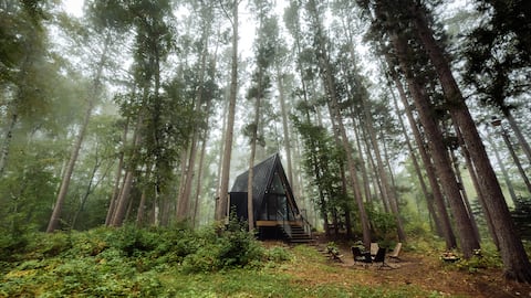 Modern A Frame Cabin on Private Nature Lake
