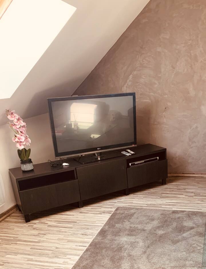 Chambre Loft Indépendante 18km Nogent S/s. Garage. - Romilly-sur-Seine