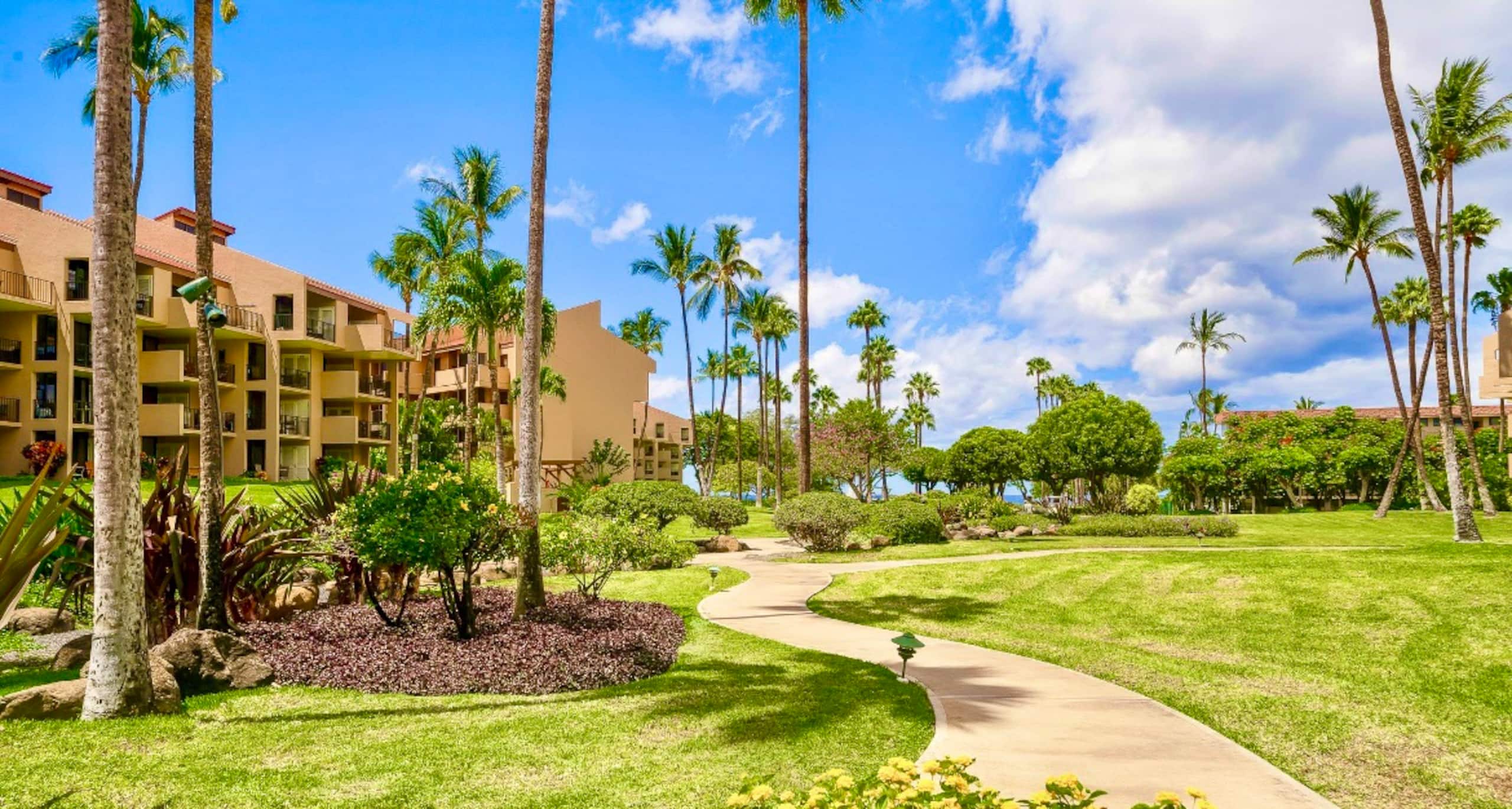 40% off price. Ocean view Steps from the beach. - Image 24