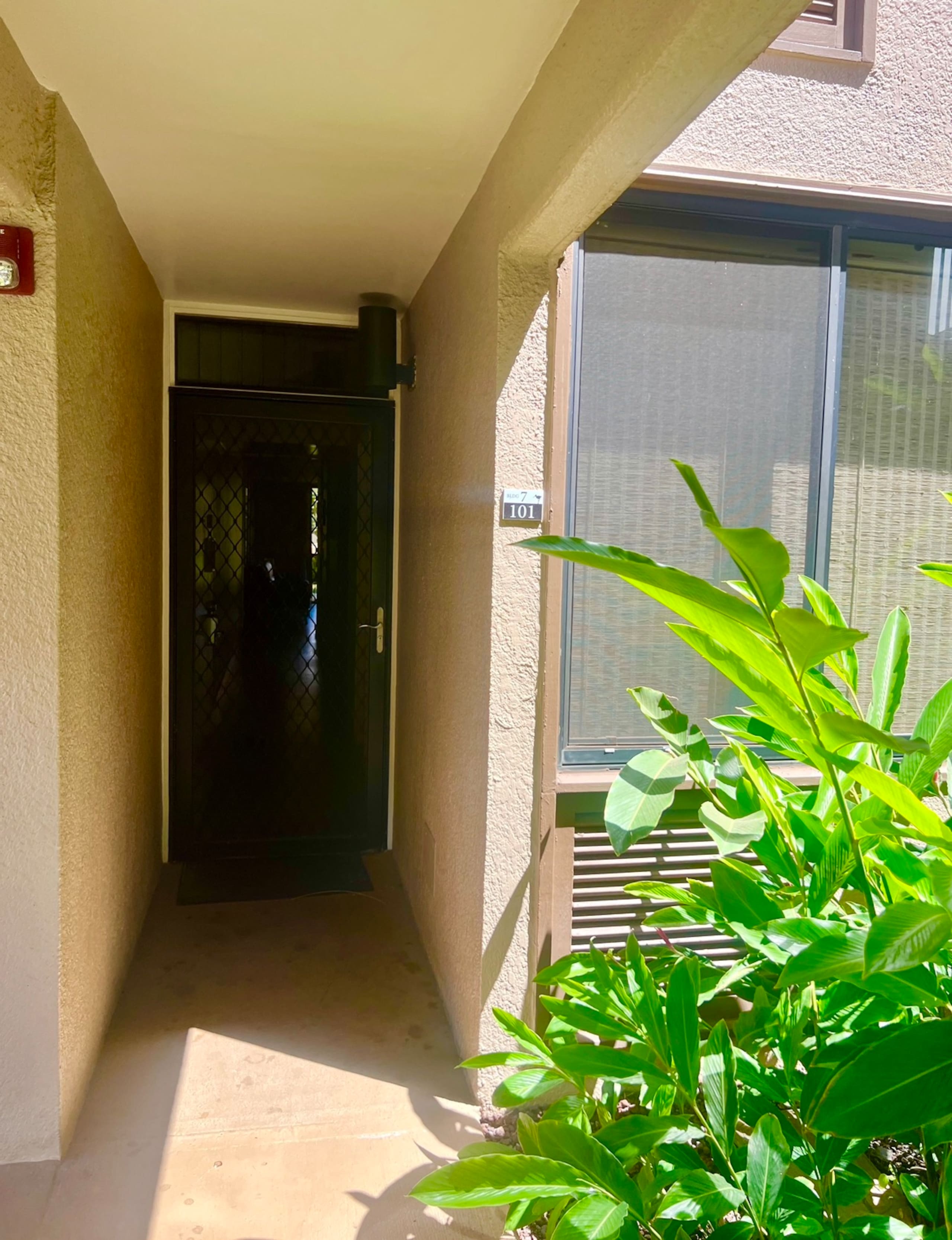 40% off price. Ocean view Steps from the beach. - Image 40