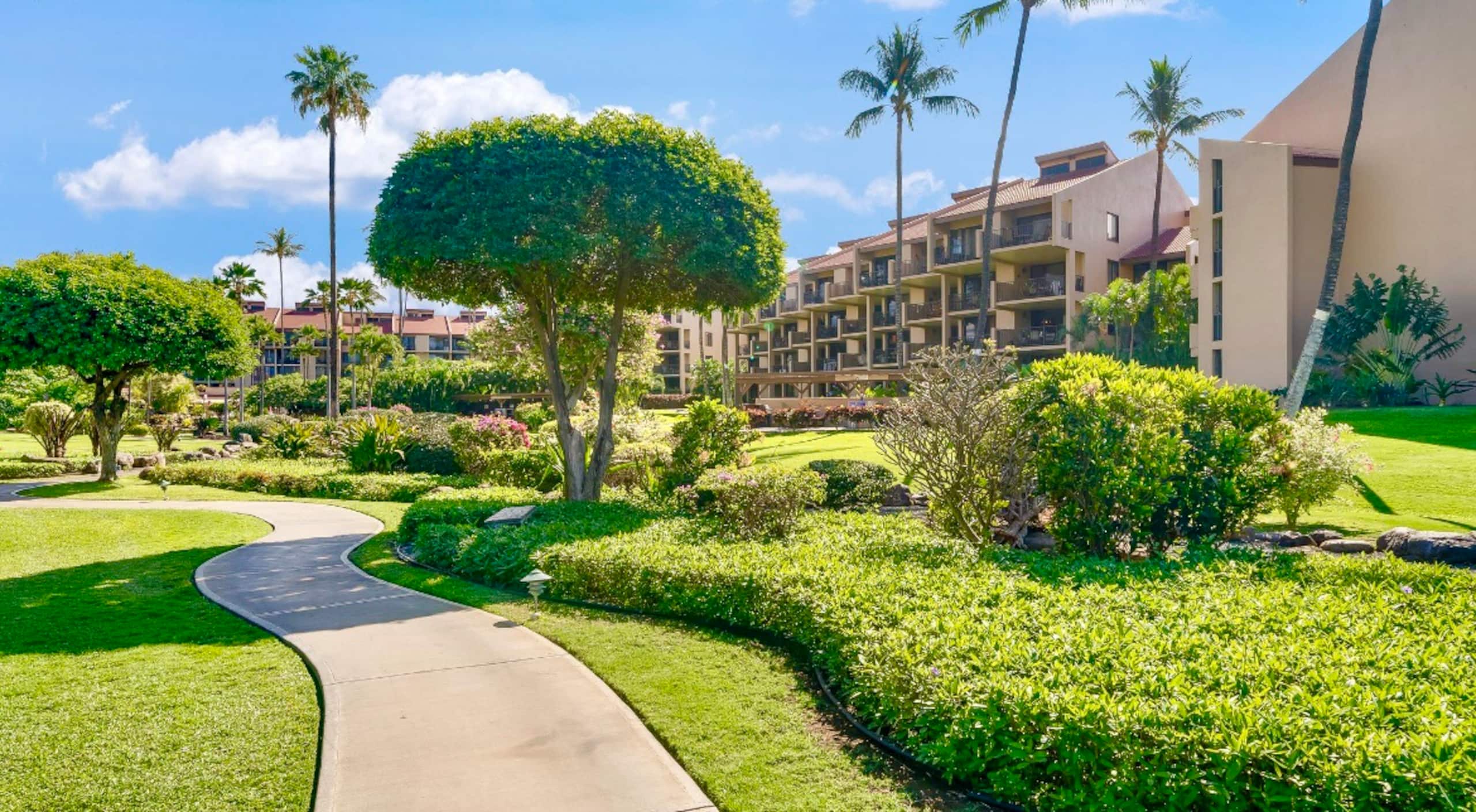 40% off price. Ocean view Steps from the beach. - Image 25