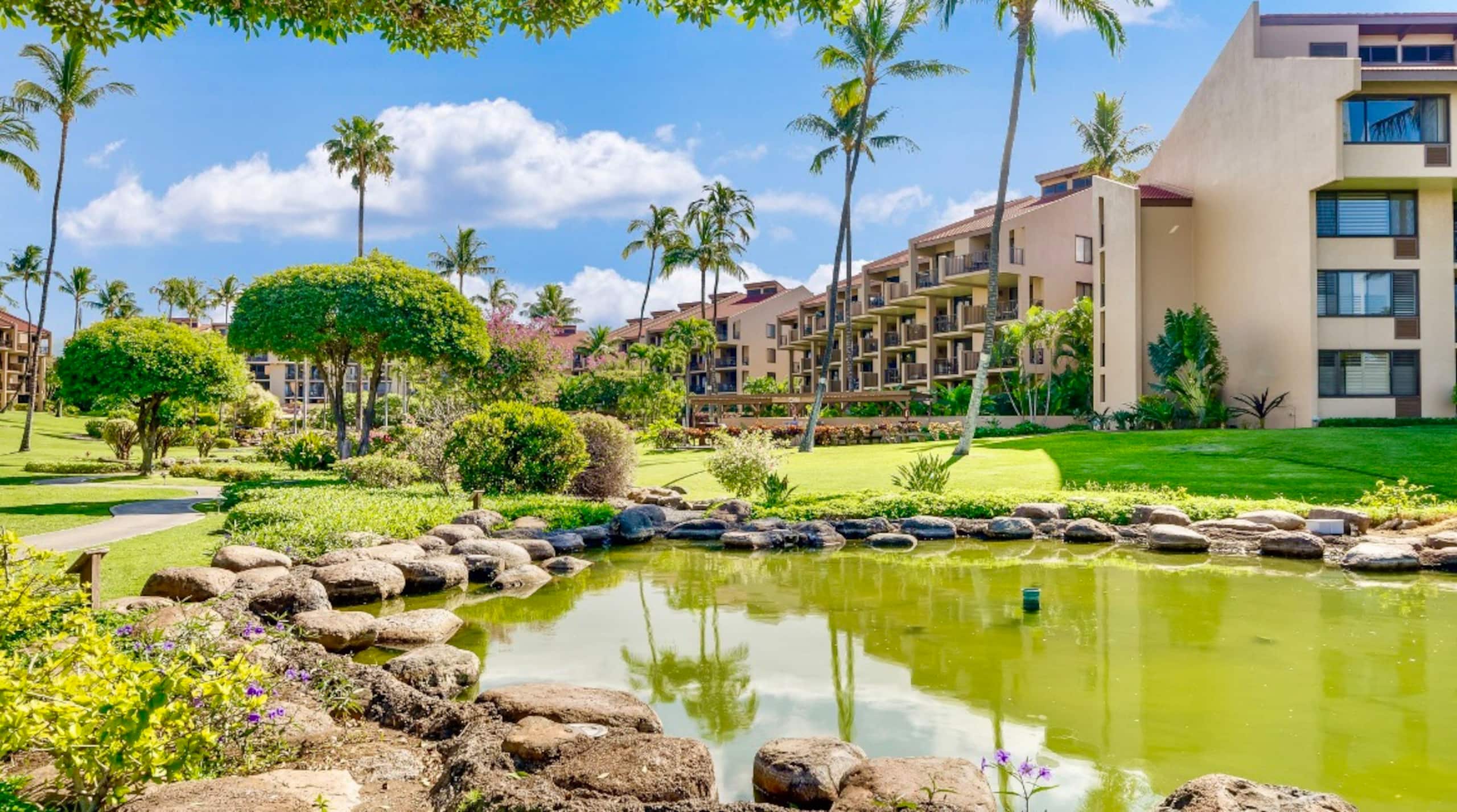 40% off price. Ocean view Steps from the beach. - Image 23