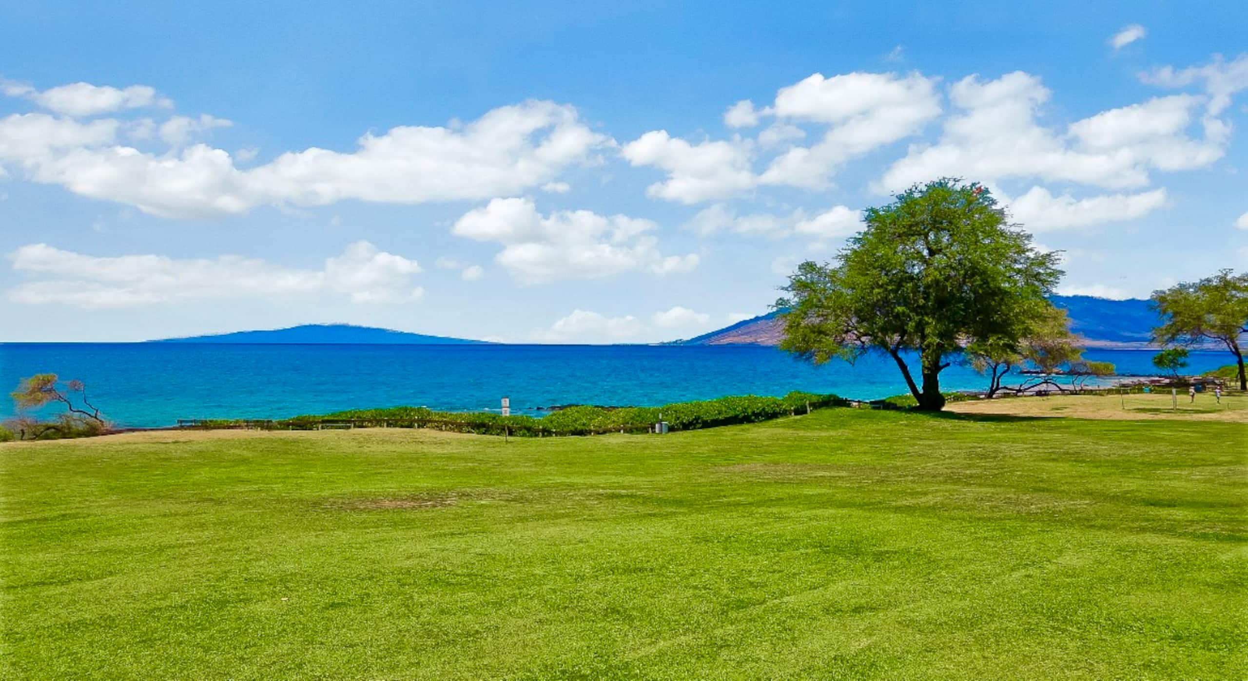 40% off price. Ocean view Steps from the beach. - Image 45