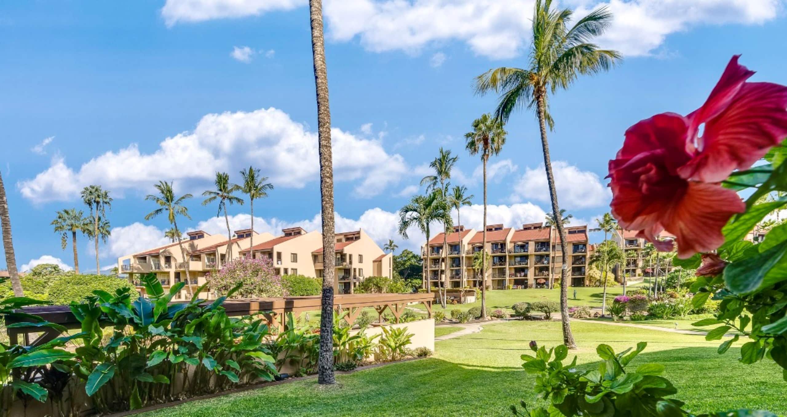 40% off price. Ocean view Steps from the beach. - Image 46