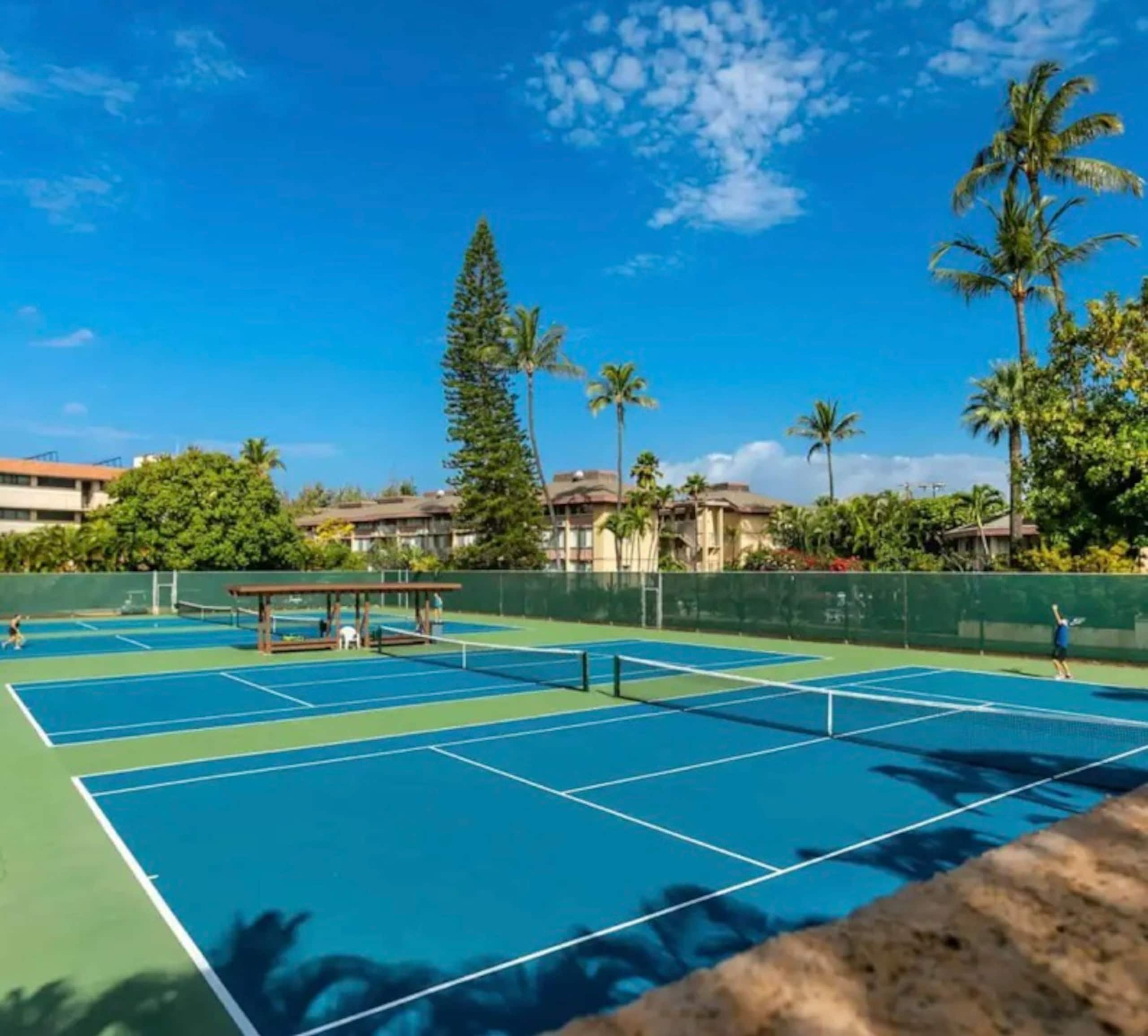 40% off price. Ocean view Steps from the beach. - Image 50