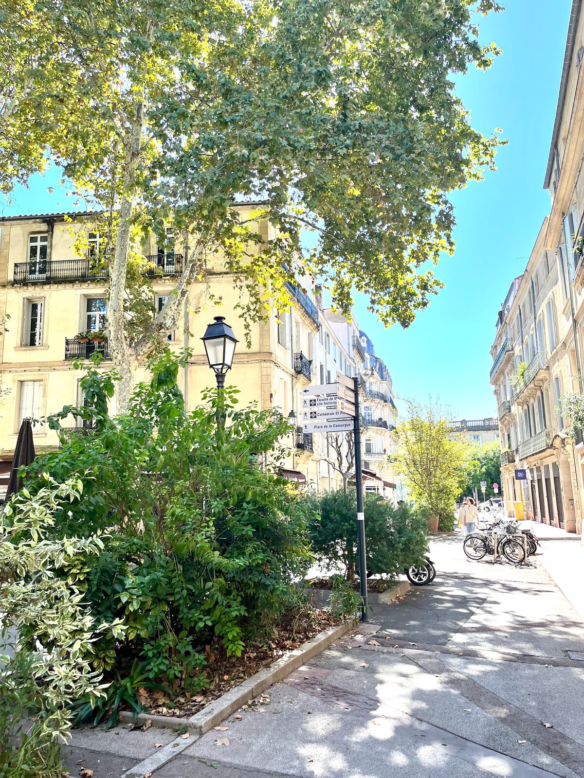 A tree-lined street is featured, with greenery and plants lining the sidewalk. Historical buildings with balconies are visible in the background. Clear skies are above, and bicycles are parked nearby, contributing to the pedestrian-friendly atmosphere of the neighborhood.