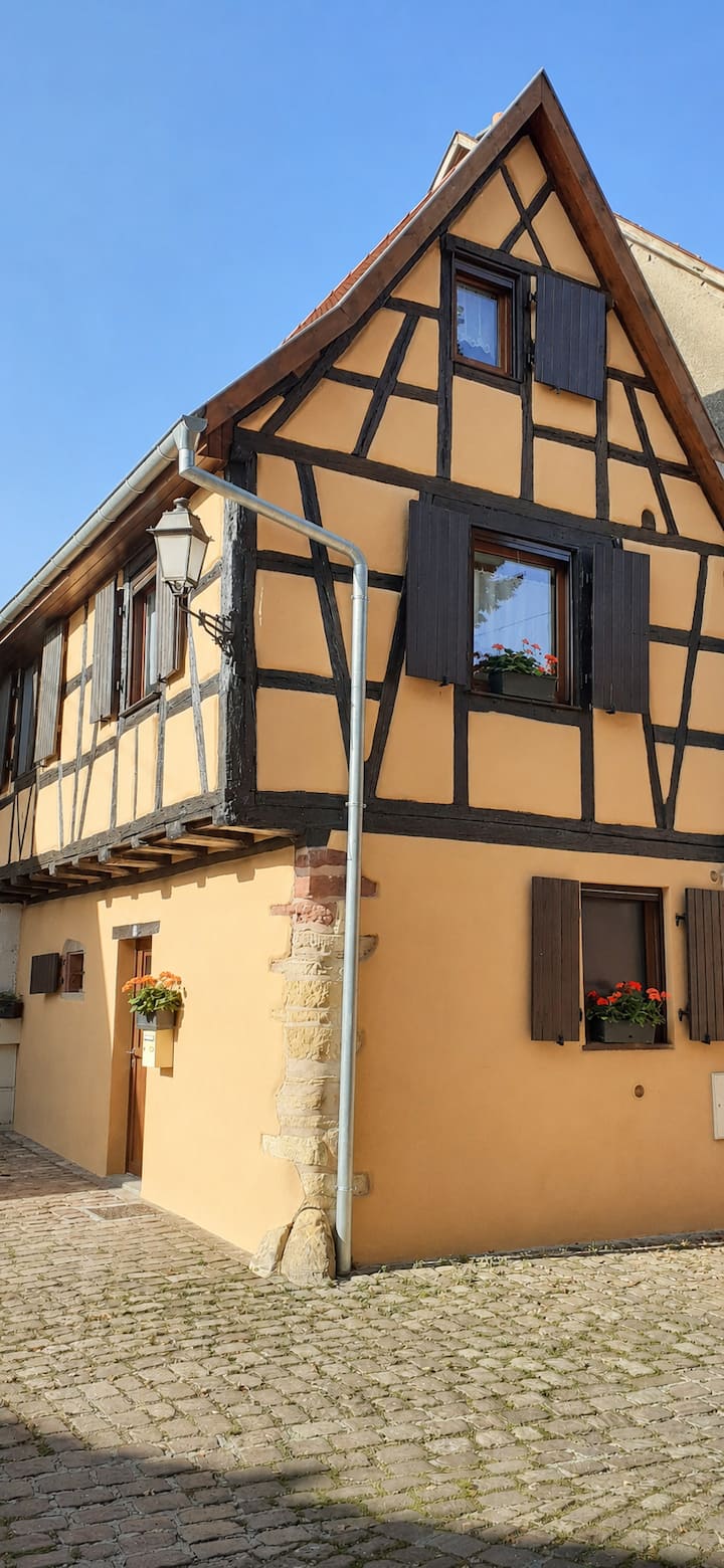 Coup De Cœur En Alsace ! Proche Colmar, Gîte Muse - Alsace